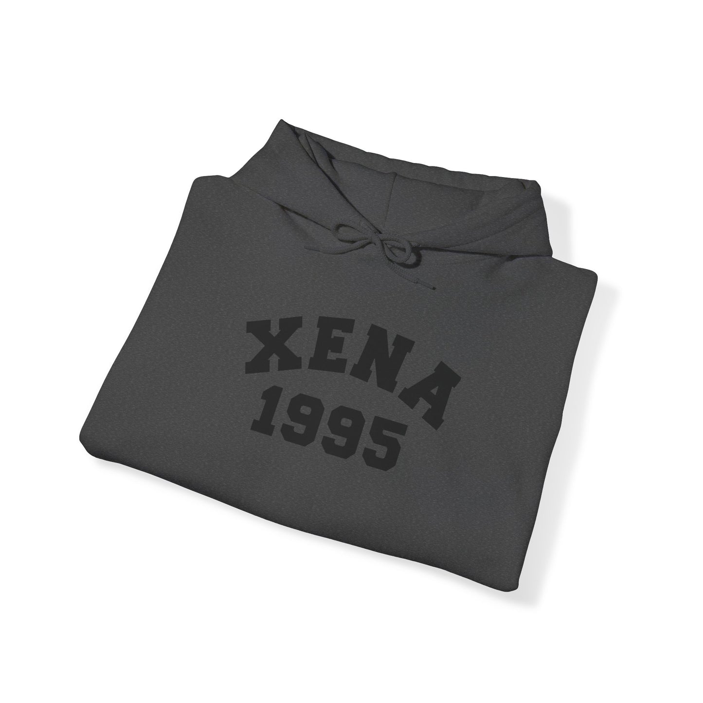 Xena 1995 Unisex Heavy Blend™ Hooded Sweatshirt