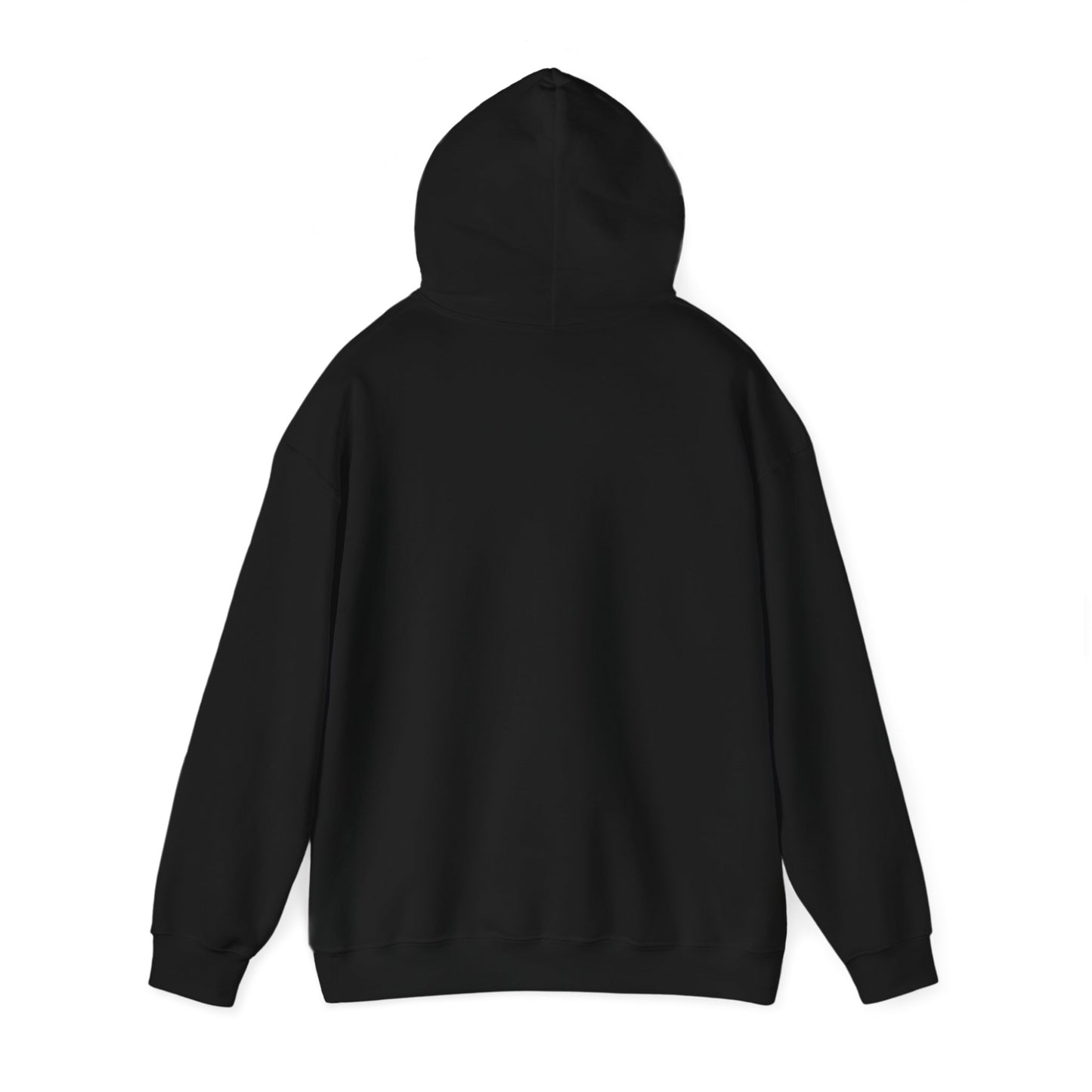 Xena 1995 Unisex Heavy Blend™ Hooded Sweatshirt